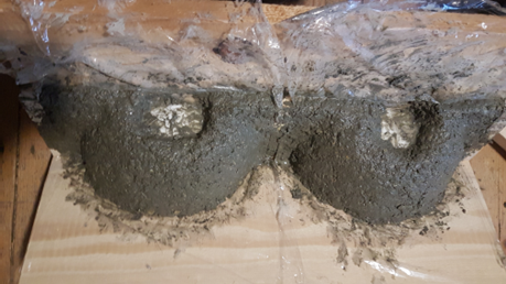 Mehlschwalbennest-Bauanleitung