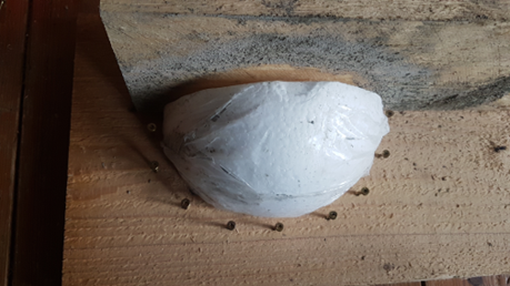 Rauchschwalbennest-Bauanleitung