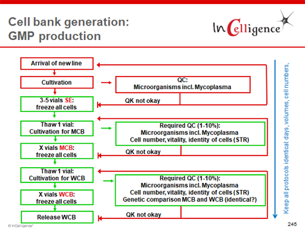 Cell banking protocol scheme ICH Q5D