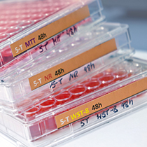 Zellanalyse & Bioassay - Kurse und In-house Schulungen platten
