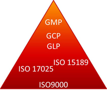 GMP Grundlagen für den Außendienst Vertrieb Kurs