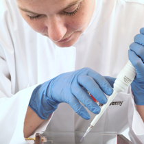 PCR Lebensmittel Analytik Kurs Person pipettiert