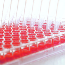 ELISA Basiskurs Training ELISA plate 96 well