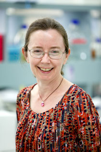 Amanda Capes-Davis Amanda Capes-Davis Kreuzkontamination