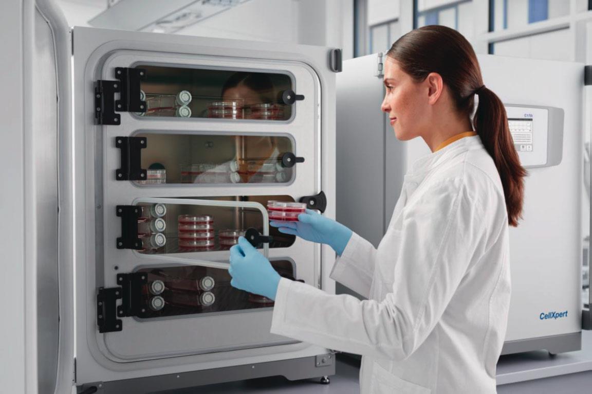 Inkubator Eppendorf geteilte Türen - Incubator Eppendorf divided doors