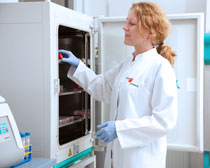 Zellkultur Inkubator