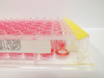 Multiwell Platte TPP