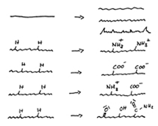 Oberflächenmodifikationen von Zellkulturplastik